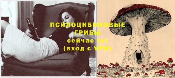 apvp Дмитриев