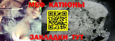 прущие грибы Будённовск