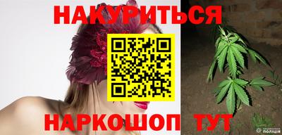 прущие грибы Будённовск