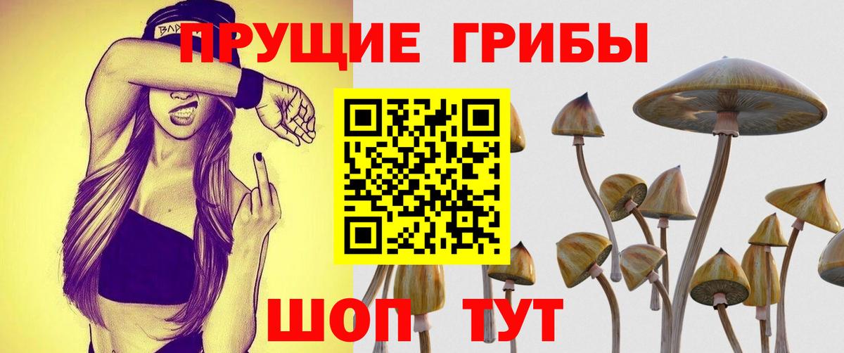 Воркута  Галлюциногенные грибы Psilocybe  Вход с VPN 